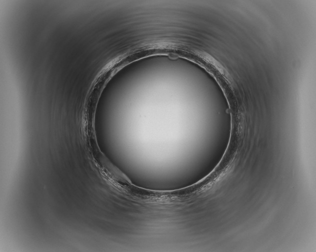 X0000116120922200911301324