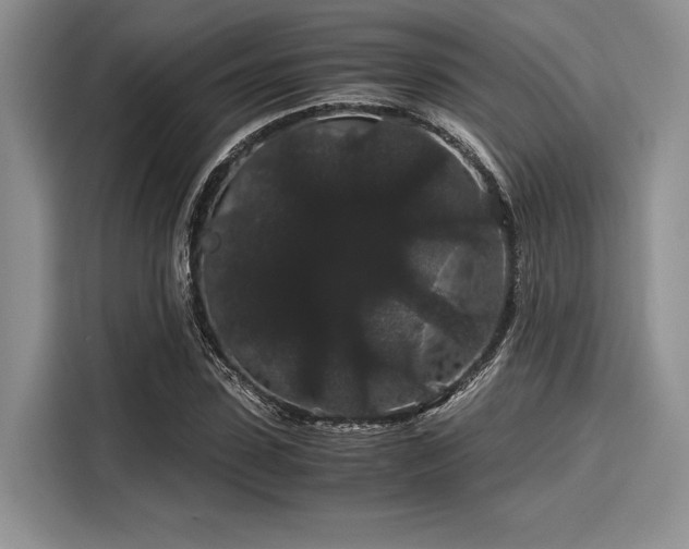 X0000116120923200911301324