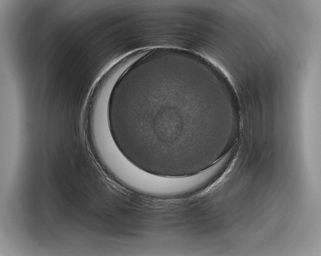 X0000116120925200911301324