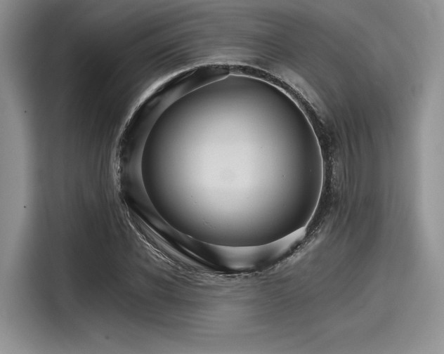 X0000116120926200911301324