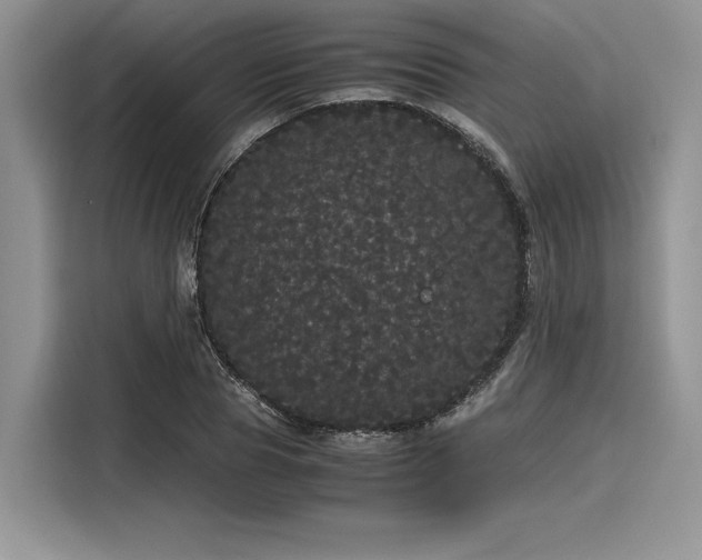 X0000116120929200911301324