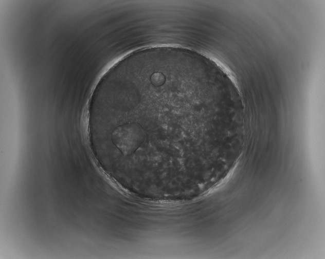 X0000116120933200911301324