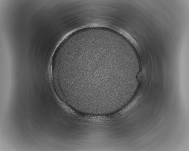 X0000116120934200911301324