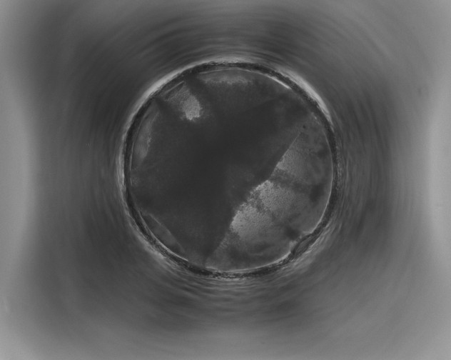 X0000116120935200911301324