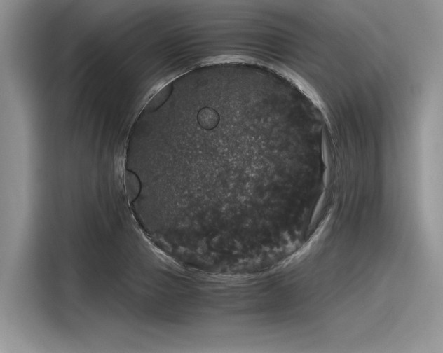 X0000116120937200911301324