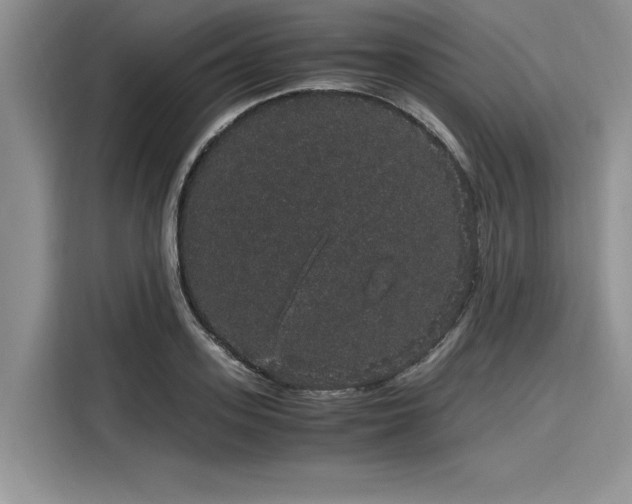 X0000116120939200911301324