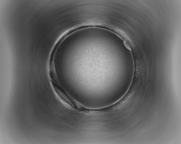 X0000116120942200911301324