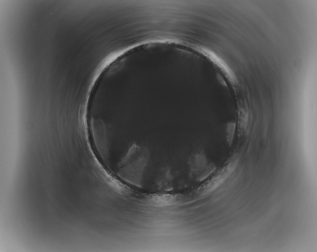 X0000116120943200911301324