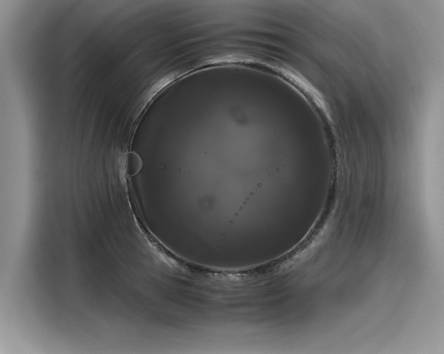 X0000116120945200911301324