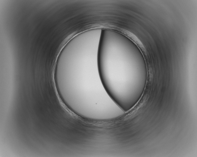 X0000116120946200911301324