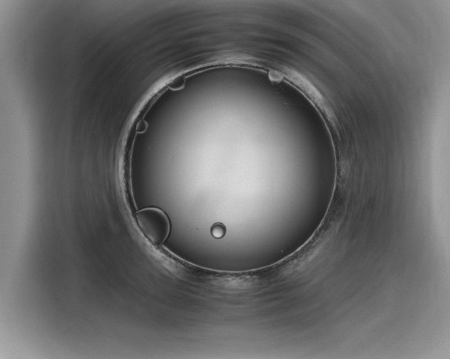 X0000116120947200911301324