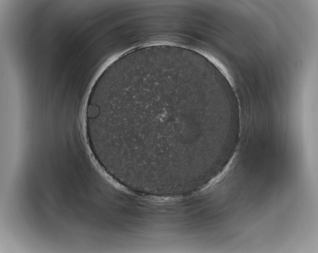 X0000116120949200911301324