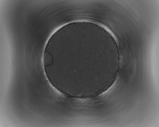 X0000116120951200911301324