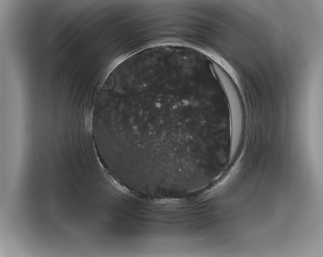 X0000116120953200911301324