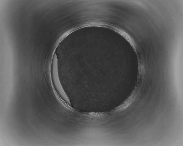 X0000116120954200911301324