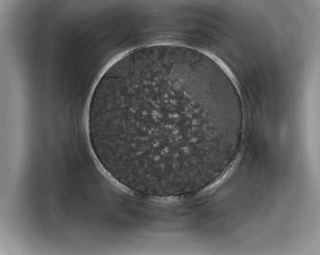 X0000116120957200911301324