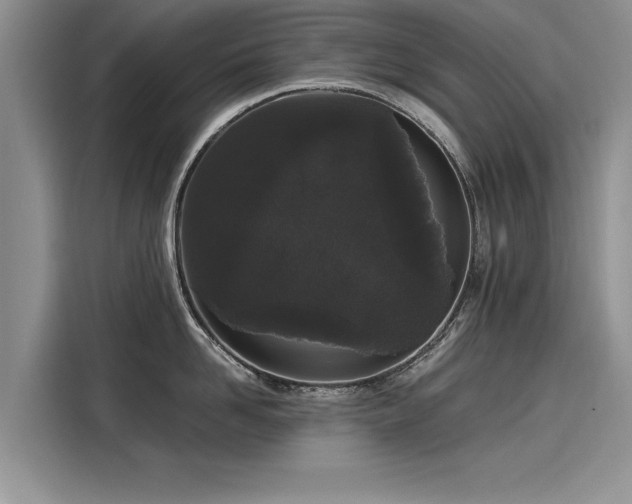 X0000116120958200911301324