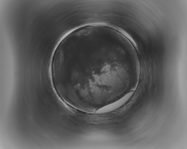 X0000116120959200911301324