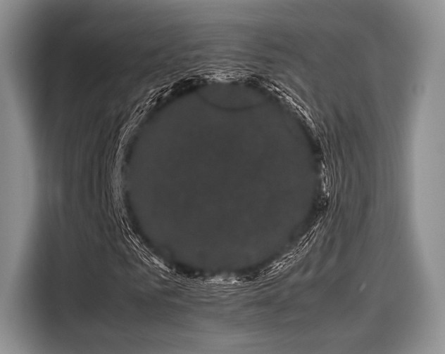 X0000116120961200911301324