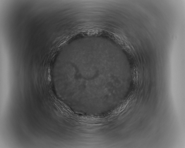 X0000116120962200911301324