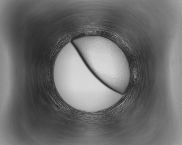 X0000116120964200911301324