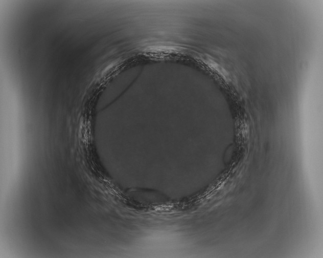 X0000116120965200911301324