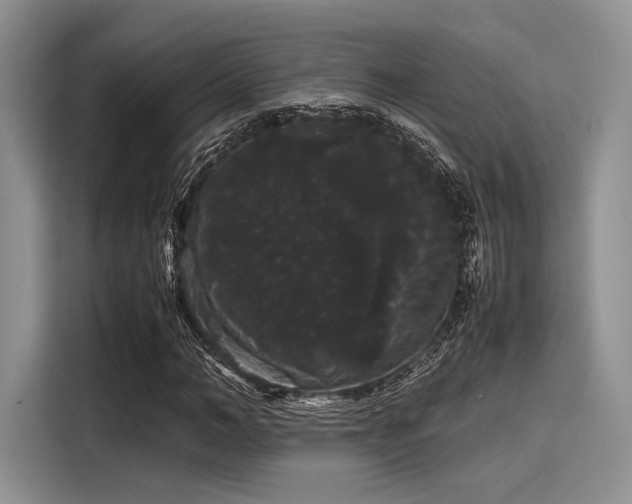 X0000116120966200911301324