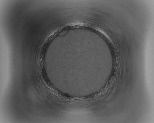 X0000116120967200911301324