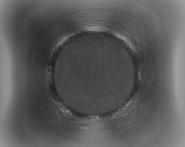 X0000116120968200911301324