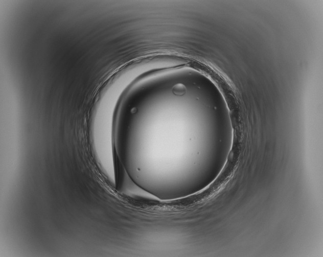 X0000116120969200911301324