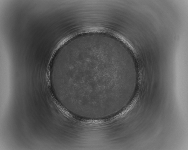 X0000116120970200911301324