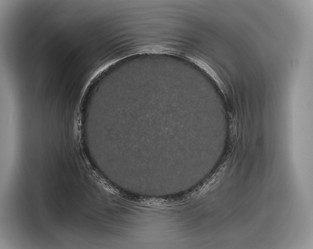 X0000116120971200911301324