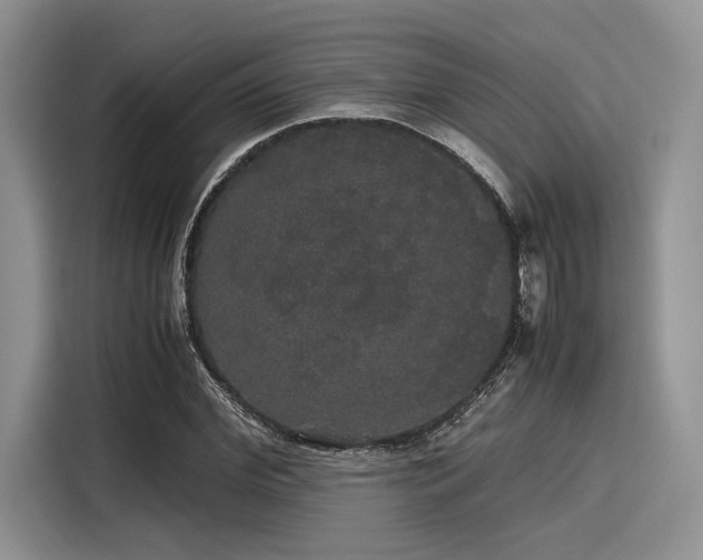 X0000116120972200911301324