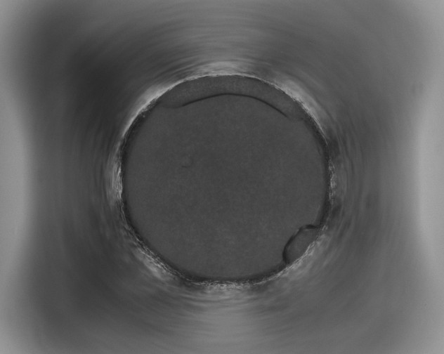 X0000116120973200911301324