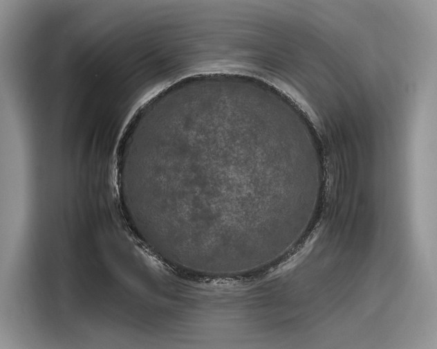 X0000116120974200911301324