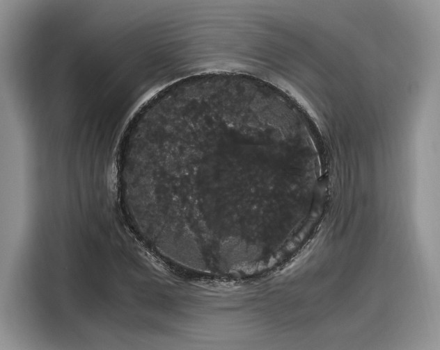 X0000116120975200911301324