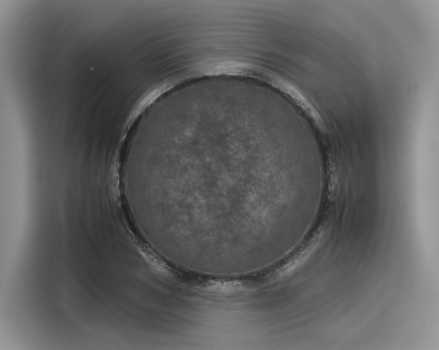 X0000116120978200911301323