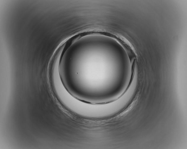 X0000116120981200911301323