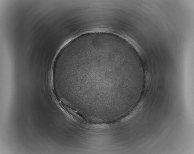 X0000116120982200911301323