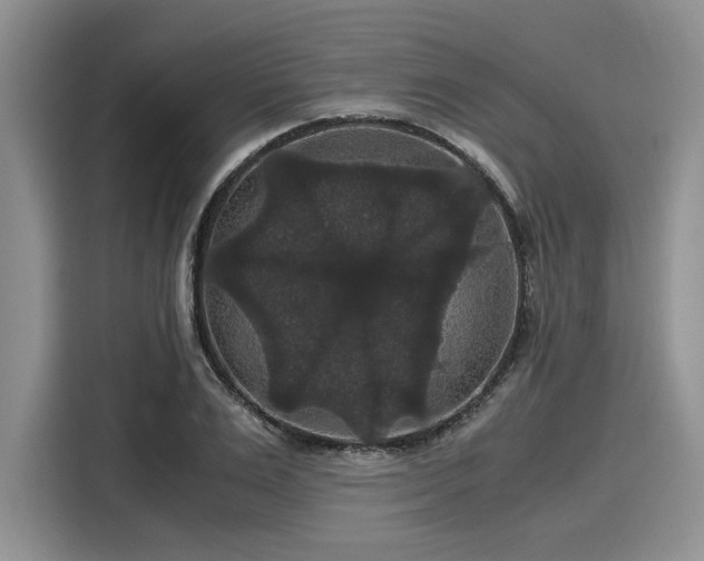 X0000116120983200911301323