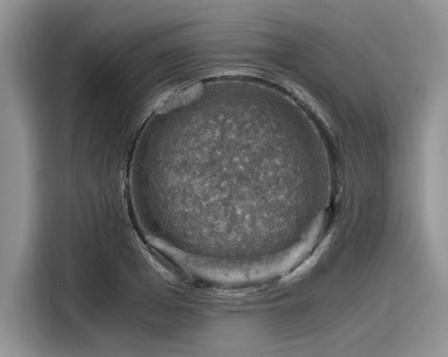 X0000116120985200911301323