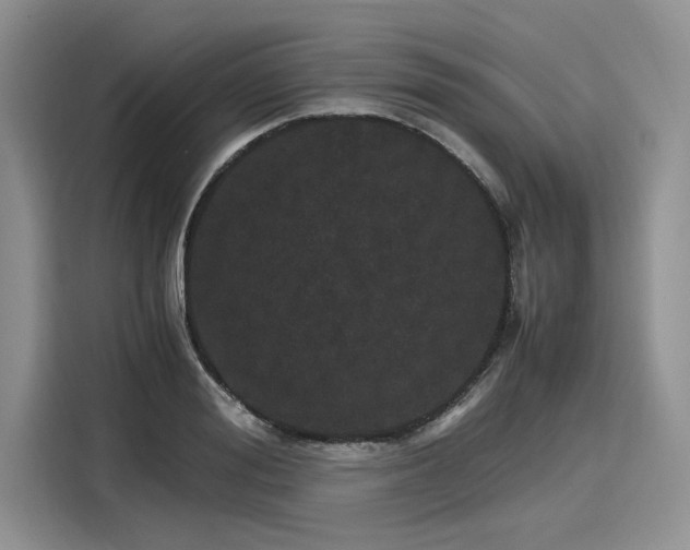 X0000116120988200911301323