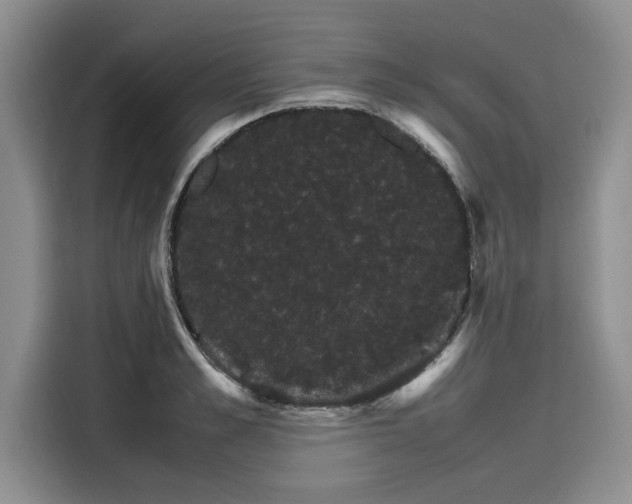 X0000116120989200911301323