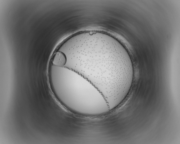 X0000116120990200911301323