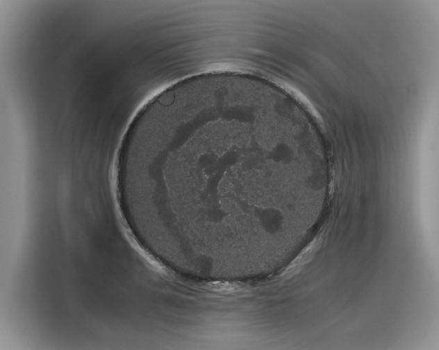 X0000116120991200911301323