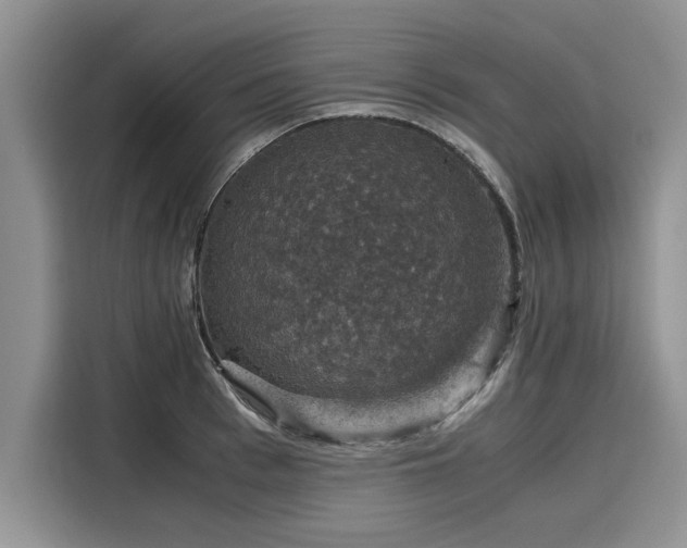 X0000116120993200911301323