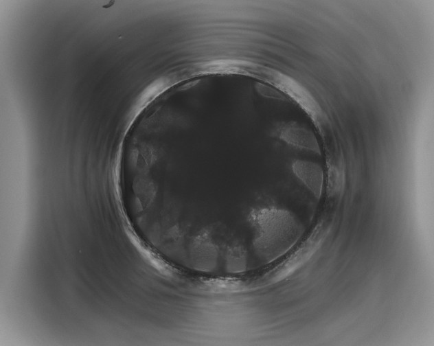 X0000116120994200911301323