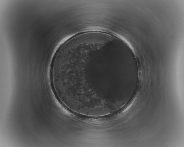 X0000116120995200911301323