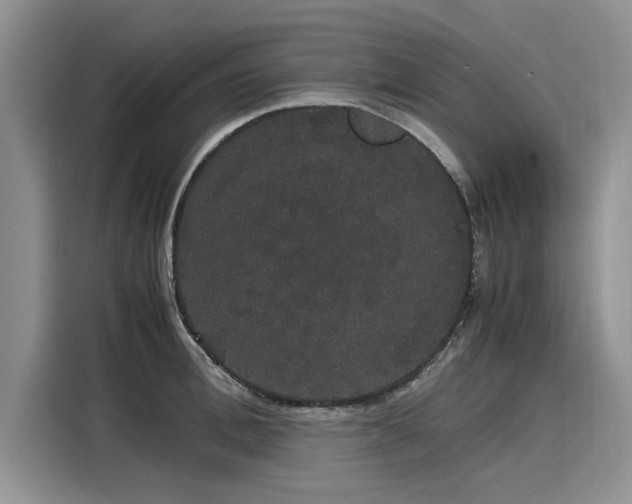 X0000116120996200911301323