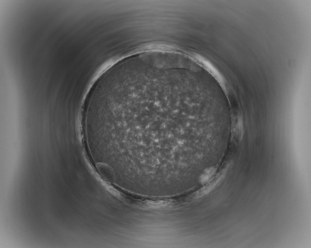 X0000116120997200911301323